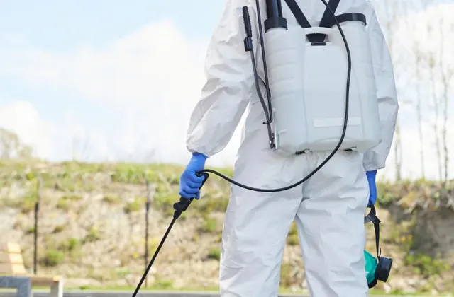 Rodent Control service detail in Sacramento