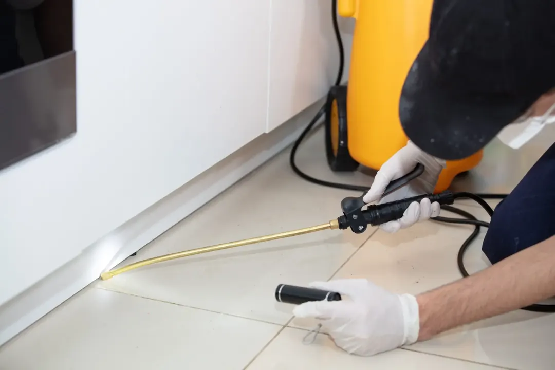 Trueway Pest Control service detail for termite-services