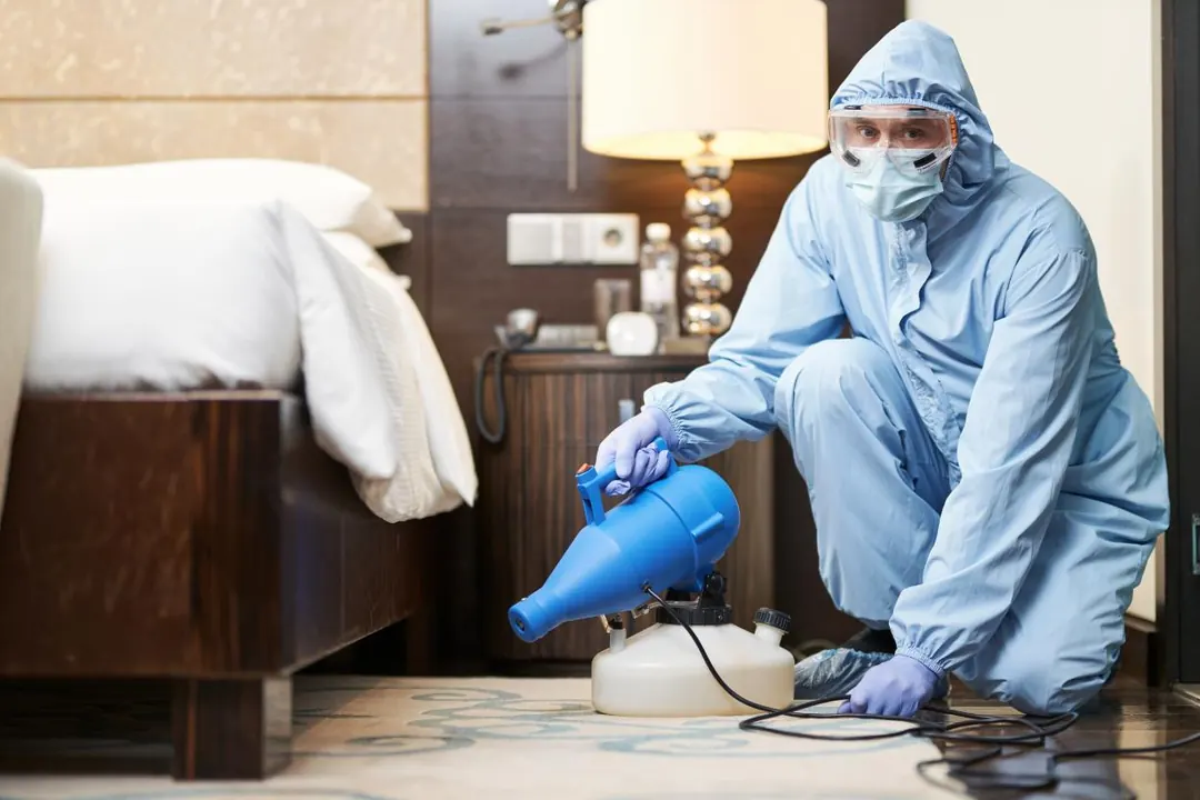 Trueway Pest Control service detail for wasp-control